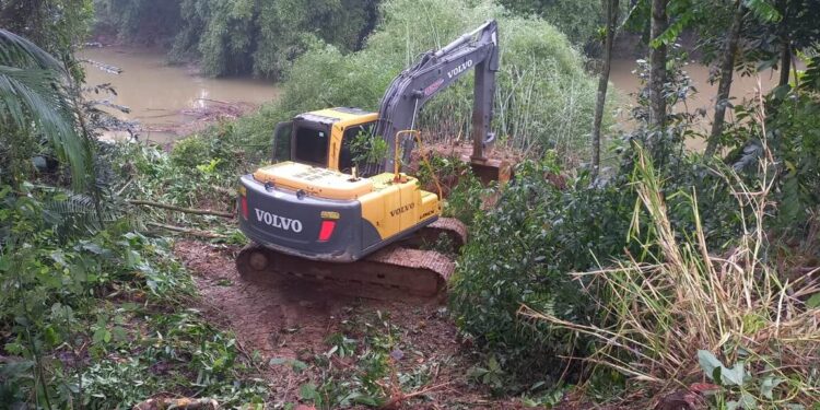 [Vídeo] Defesa Civil retira bambuzal que caiu no rio Jaraguá
