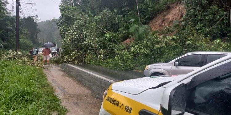 Deslizamento de terra é registrado na SC-108, entre Massaranduba e Blumenau