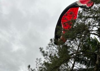 Piloto de parapente fica preso em árvore após perder o controle em Schroeder