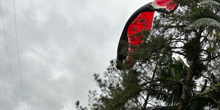 Piloto de parapente fica preso em árvore após perder o controle em Schroeder