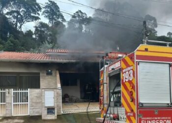 Homem é suspeito de incendiar casa e matar 6 gatos da ex-companheira em SC