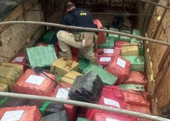 Sete toneladas de maconha são encontradas em carreta em Barra Velha