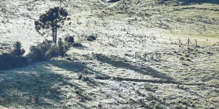 Municípios de Santa Catarina amanhecem com geada