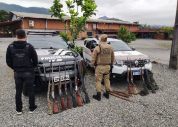 Armas e munições são apreendidas em Schroeder 