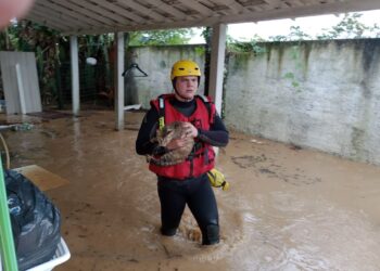 Chuvas em SC: estado tem 120 cidades com ocorrências