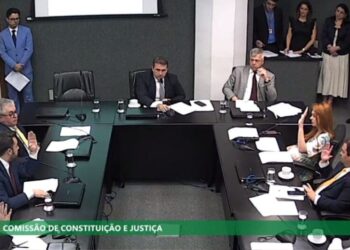 Deputados de SC rejeitam cotas raciais em concursos públicos