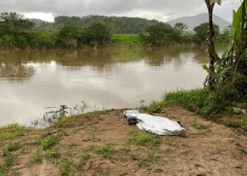Mulher morre após cair no Rio Itapocu em Jaraguá do Sul