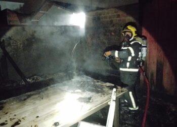 Filhote de gato é resgatado atrás de fogão durante incêndio em Araquari