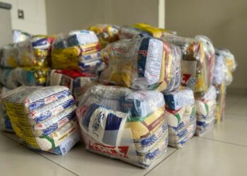 Chuvas em SC: municípios começam a receber donativos arrecadados