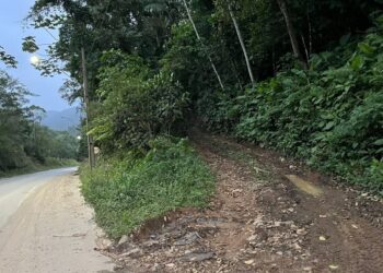 Corpo é encontrado em matagal em Schroeder