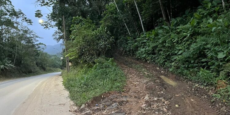 Corpo é encontrado em matagal em Schroeder