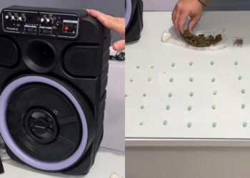 [Vídeo] Adolescente é apreendido por tráfico após perturbação com som alto em Guaramirim