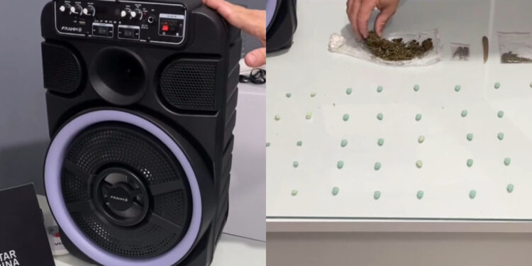 [Vídeo] Adolescente é apreendido por tráfico após perturbação com som alto em Guaramirim