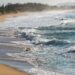 IMA divulga segundo relatório de balneabilidade em Santa Catarina