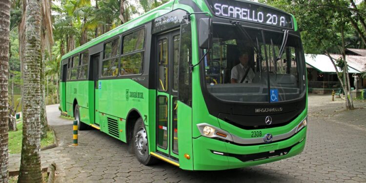 Transporte coletivo de Jaraguá do Sul passa a contar com mais cinco ônibus