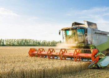 Os ganhos recíprocos entre o agrobusiness e as políticas governamentais