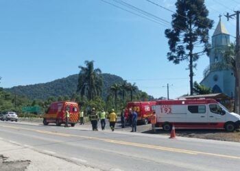 Homem sofre diversas fraturas após árvore cair sobre ele na BR-280