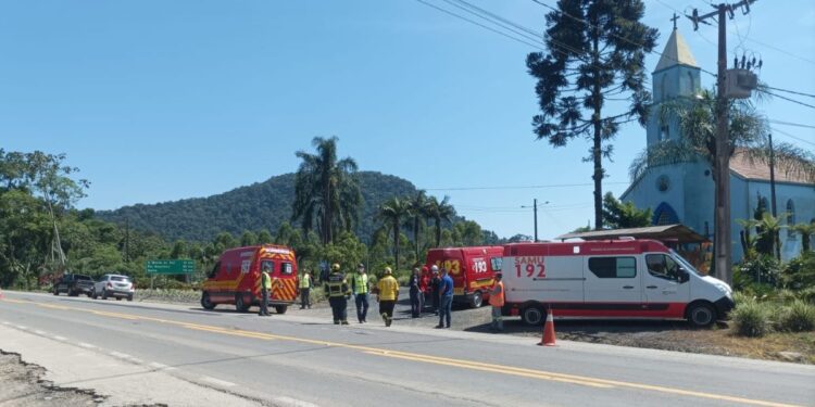 Homem sofre diversas fraturas após árvore cair sobre ele na BR-280