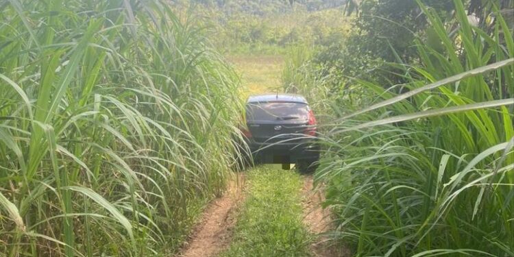 Carro furtado em Jaraguá é encontrado em Schroeder