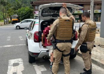 Jovem que atropelou idosa na faixa de pedestre é preso por racha em Jaraguá