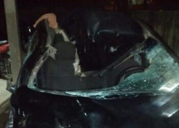 Carro colide em boi em São João do Itaperiú