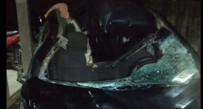 Carro colide em boi em São João do Itaperiú