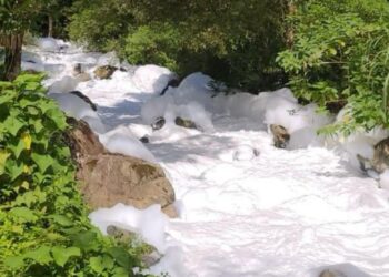 Prefeitura de Joinville decreta situação de emergência após produto químico cair no rio