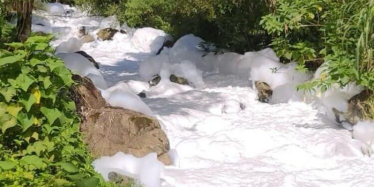 Prefeitura de Joinville decreta situação de emergência após produto químico cair no rio