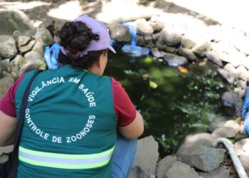 Jaraguá do Sul confirma o primeiro caso de dengue em 2024