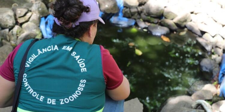 Jaraguá do Sul confirma o primeiro caso de dengue em 2024