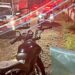 [Vídeo] Motociclista chama atenção da PM com escape torbal, é perseguida, cai e é presa em Jaraguá do Sul