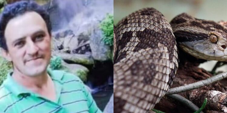 Pastor morre após ser picado por jararaca em Santa Catarina