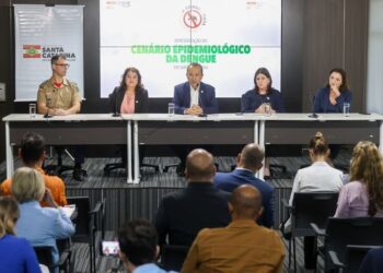 Santa Catarina registra aumento de 900% nos casos de dengue