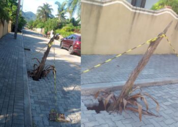 Moradores de Corupá sinalizam buraco na rua com tronco de árvore: “Está um descaso”