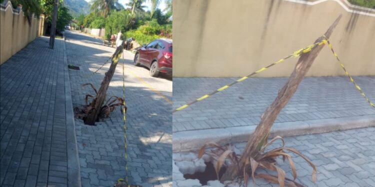 Moradores de Corupá sinalizam buraco na rua com tronco de árvore: “Está um descaso”