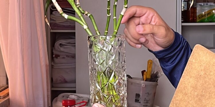 Saúde de Jaraguá sugere checklist semanal como ação preventiva contra a dengue