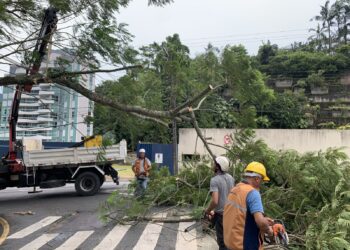 Temporal isolado causou danos em Jaraguá do Sul nesta terça-feira