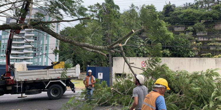 Temporal isolado causou danos em Jaraguá do Sul nesta terça-feira