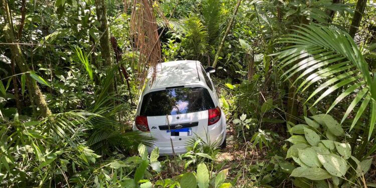 [Vídeo] Motorista passa mal ao volante e cai de barranco na BR-280, em Jaraguá