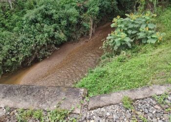 Mulher é estuprada em Jaraguá do Sul