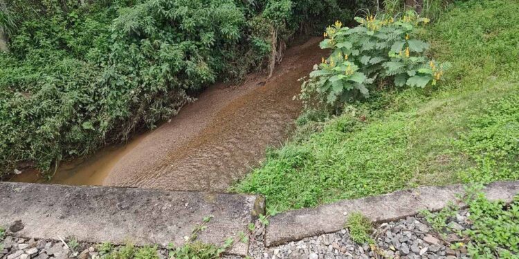 Mulher é estuprada em Jaraguá do Sul