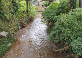 Mulher vítima de estupro passa por nova cirurgia em Jaraguá do Sul