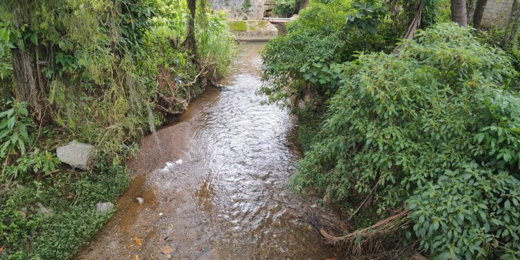 Mulher vítima de estupro passa por nova cirurgia em Jaraguá do Sul