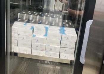 Jaraguá do Sul recebe vacina contra a dengue