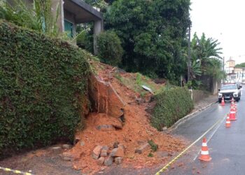 Chuva provoca quedas de árvores e muros em Jaraguá do Sul