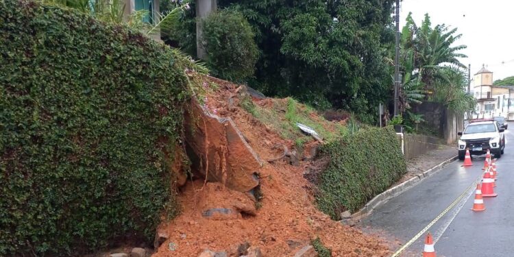 Chuva provoca quedas de árvores e muros em Jaraguá do Sul