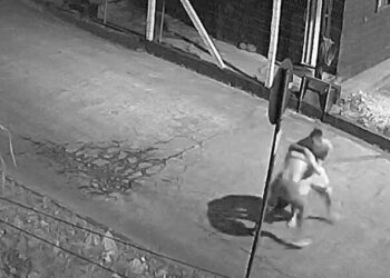 Câmera flagra tentativa de estupro em Guaramirim