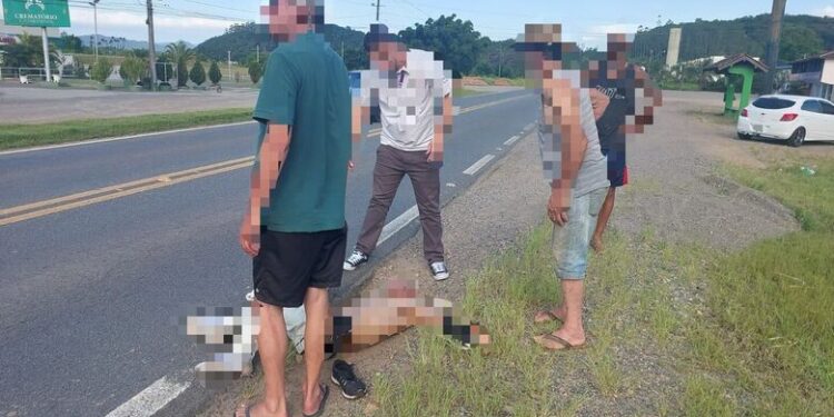 Homem fica ferido após ser atropelado na BR-280 em Jaraguá do Sul