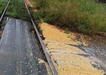 Prefeitura irá notificar empresa por derramamento de grãos em Corupá