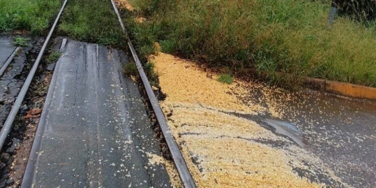 Prefeitura irá notificar empresa por derramamento de grãos em Corupá